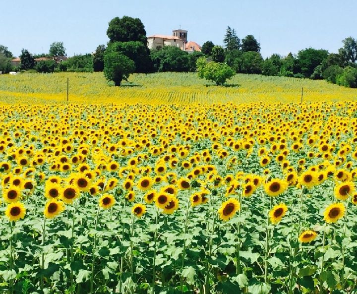 Internship in Brossac France